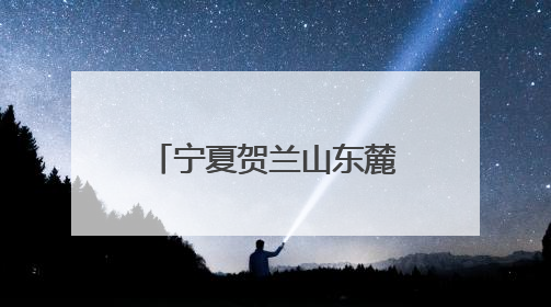 宁夏贺兰山东麓葡萄酒品鉴推介会在沪举行 搭建与长三角地区沟通合作的桥梁
