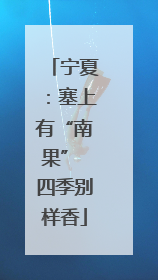 宁夏：塞上有“南果” 四季别样香