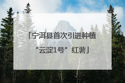 宁洱县首次引进种植“云淀1号”红薯