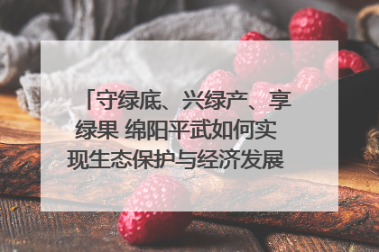 守绿底、兴绿产、享绿果 绵阳平武如何实现生态保护与经济发展双赢？｜新闻发布最前线·深一度