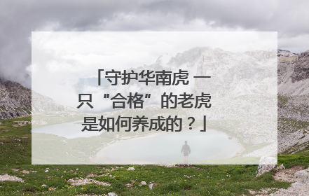 守护华南虎 一只“合格”的老虎是如何养成的？