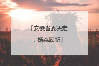 安徽省委决定：杨森履新