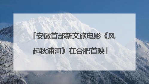 安徽首部新文旅电影《风起秋浦河》在合肥首映