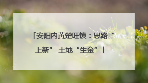 安阳内黄楚旺镇：思路“上新” 土地“生金”