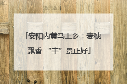 安阳内黄马上乡：麦穗飘香 “丰”景正好