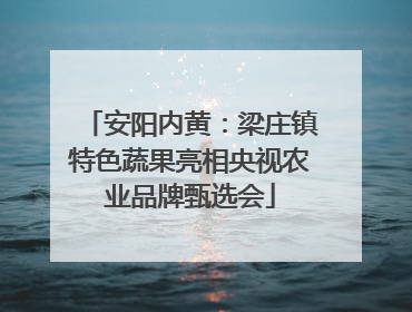 安阳内黄：梁庄镇特色蔬果亮相央视农业品牌甄选会