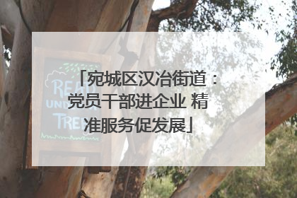 宛城区汉冶街道：党员干部进企业 精准服务促发展