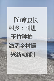 宜章县长村乡：引进玉竹种植 激活乡村振兴新动能