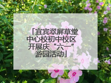 宜宾翠屏草堂中心校初中校区开展庆“六一”游园活动