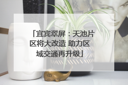 宜宾翠屏：天池片区将大改造 助力区域交通再升级