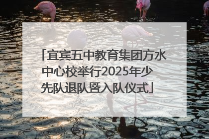 宜宾五中教育集团方水中心校举行2025年少先队退队暨入队仪式
