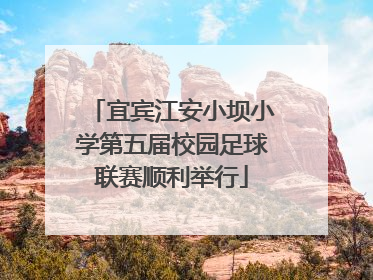 宜宾江安小坝小学第五届校园足球联赛顺利举行