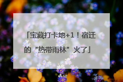 宝藏打卡地+1！宿迁的“热带雨林”火了