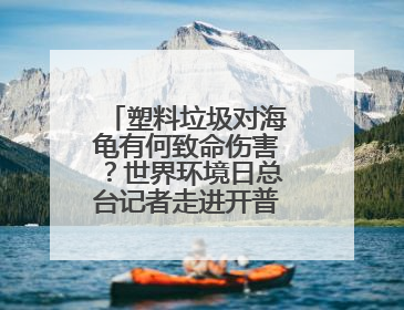 塑料垃圾对海龟有何致命伤害？世界环境日总台记者走进开普敦海洋馆