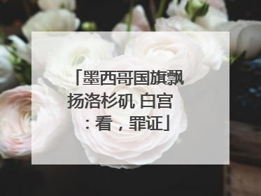墨西哥国旗飘扬洛杉矶 白宫：看，罪证
