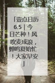 壹点日历6.5｜今日芒种！风吹麦成浪，蝉鸣夏始忙！大家早安