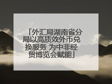 外汇局湖南省分局以高质效外币兑换服务 为中非经贸博览会赋能