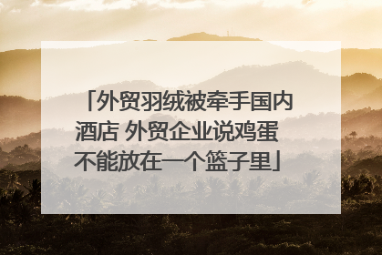 外贸羽绒被牵手国内酒店 外贸企业说鸡蛋不能放在一个篮子里