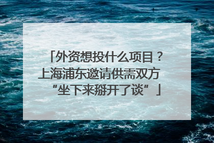 外资想投什么项目？上海浦东邀请供需双方“坐下来掰开了谈”
