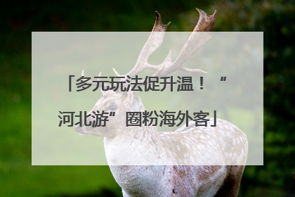 多元玩法促升温！“河北游”圈粉海外客