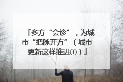 多方“会诊”，为城市“把脉开方”（城市更新这样推进①）