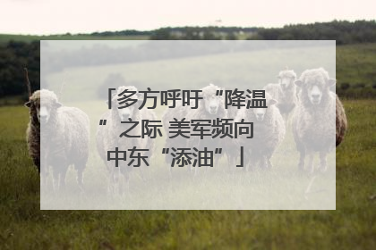 多方呼吁“降温”之际 美军频向中东“添油”