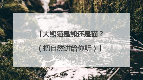 大熊猫是熊还是猫？（把自然讲给你听）