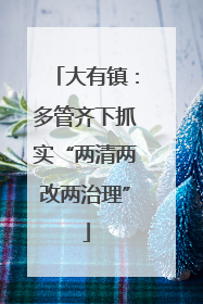 大有镇：多管齐下抓实“两清两改两治理”