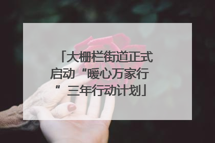 大栅栏街道正式启动“暖心万家行”三年行动计划