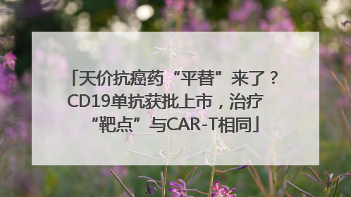 天价抗癌药“平替”来了？CD19单抗获批上市，治疗“靶点”与CAR-T相同