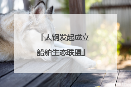 太钢发起成立船舶生态联盟