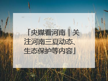 央媒看河南｜关注河南三夏动态、生态保护等内容