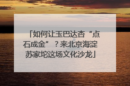 如何让玉巴达杏“点石成金”？来北京海淀苏家坨这场文化沙龙