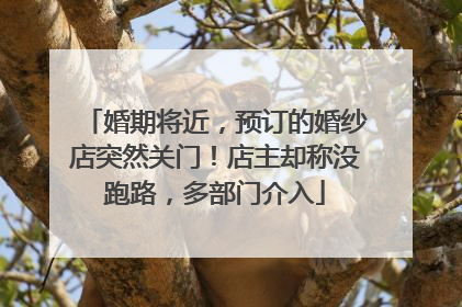 婚期将近，预订的婚纱店突然关门！店主却称没跑路，多部门介入