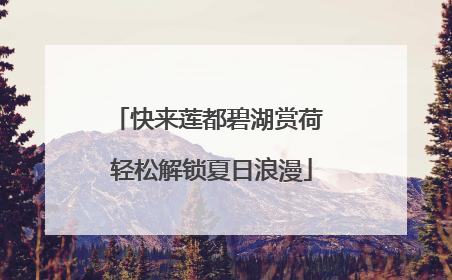 快来莲都碧湖赏荷 轻松解锁夏日浪漫