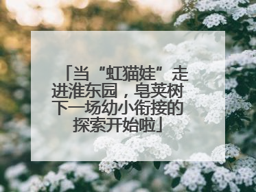 当“虹猫娃”走进淮东园，皂荚树下一场幼小衔接的探索开始啦