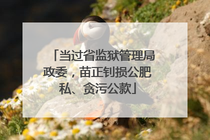 当过省监狱管理局政委，苗正钊损公肥私、贪污公款