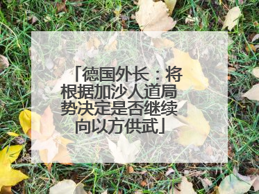 德国外长：将根据加沙人道局势决定是否继续向以方供武