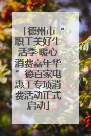 德州市“职工美好生活季·暖心消费嘉年华”德百家电惠工专项消费活动正式启动