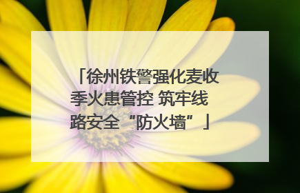 徐州铁警强化麦收季火患管控 筑牢线路安全“防火墙”