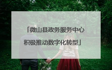 微山县政务服务中心积极推动数字化转型
