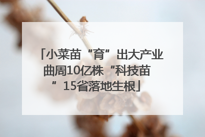 小菜苗“育”出大产业 曲周10亿株“科技苗”15省落地生根