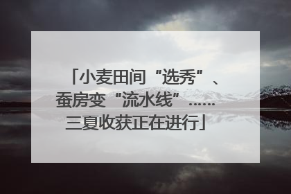 小麦田间“选秀”、蚕房变“流水线”……三夏收获正在进行
