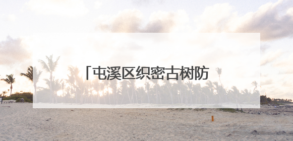 屯溪区织密古树防护网 让“绿色文物”焕发新活力