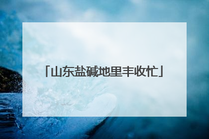 山东盐碱地里丰收忙