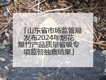 山东省市场监管局发布2024年烟花爆竹产品质量省级专项监督抽查结果