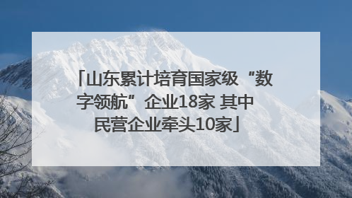 山东累计培育国家级“数字领航”企业18家 其中民营企业牵头10家