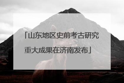 山东地区史前考古研究重大成果在济南发布