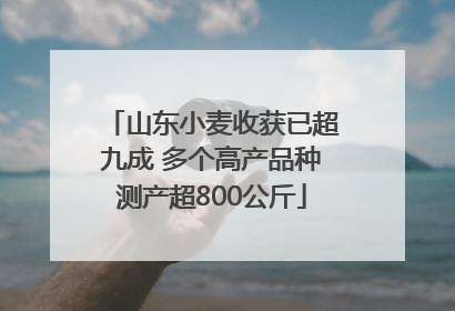 山东小麦收获已超九成 多个高产品种测产超800公斤