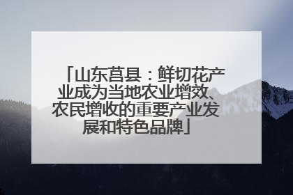 山东莒县：鲜切花产业成为当地农业增效、农民增收的重要产业发展和特色品牌